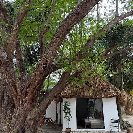 Cabanas Camping Ria Селестун Экстерьер фото